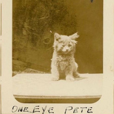 Mitchell Awdziejczyk