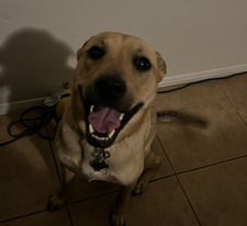 Abby