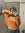 member photo member photo