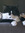 Cat Tol...