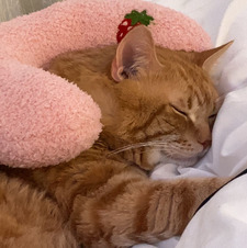 Ghostjumptrampolinesourire2