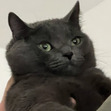 Thomas