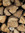 Alberto Imedio | 1 comments