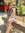 Kelsie Super