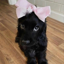 ethan ୨୧˚˖ ࣪