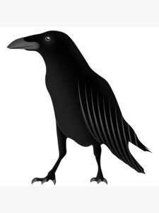 HellsBellsnSexySpells