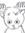 cat
