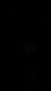 The black spot