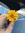 Ferss