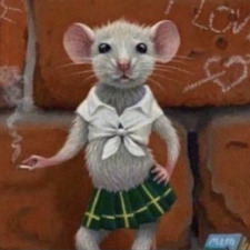 ⋆ ˚｡⋆୨୧˚Alina ˚୨୧⋆｡˚ ⋆