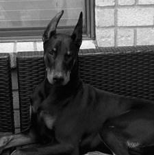 cole ♥ clearlyreading