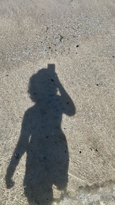 ju 