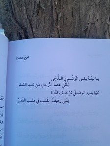 عالية  مصطفى عبدالله