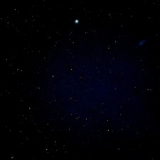 Tess_wanderlust &#x1f932;&#x1f3fc;&#x1f331;