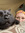 member photo member photo