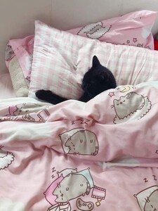 * ੈ✩‧₊˚* ੈ✩‧₊