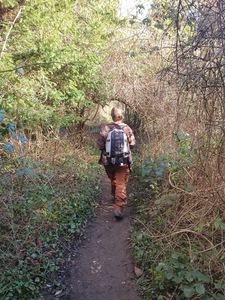 Aurora Jonathan Goga