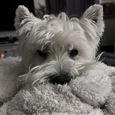 Kimberly || apairofreaders