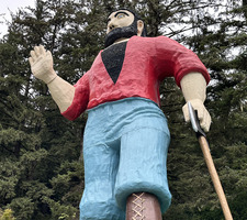 Kate Fleace robinson