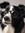 Moxie