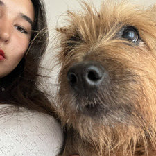 Lu
