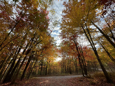 JustCrazyAboutReading