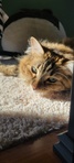 Sam