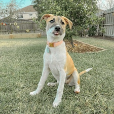 Chloe