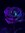 BluJade