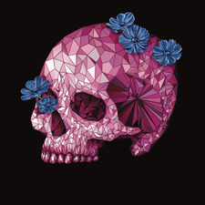 Kat Reads Skulls
