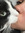 bb cat