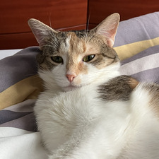 Kunza Shakil