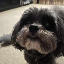 Mia