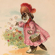 Renee watson