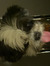 Norah._.