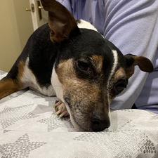 ThatGirlEmmaIsReading