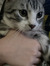Oliver