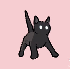 sam °❀⋆.ೃ࿔*