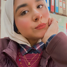 Amna Elsrougy