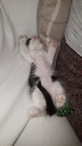 ♡ʙᴏᴏᴋᴍᴀʀᴋꜱ_ᴛʜᴇ_ꜱᴘᴏᴛ♡