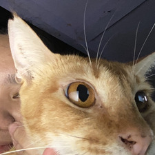 aji ⋆౨ৎ˚⟡˖ ࣪