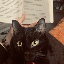 ⋆౨ৎ˚ Ashley ⋆౨ৎ˚