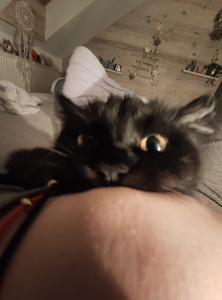Sabinka