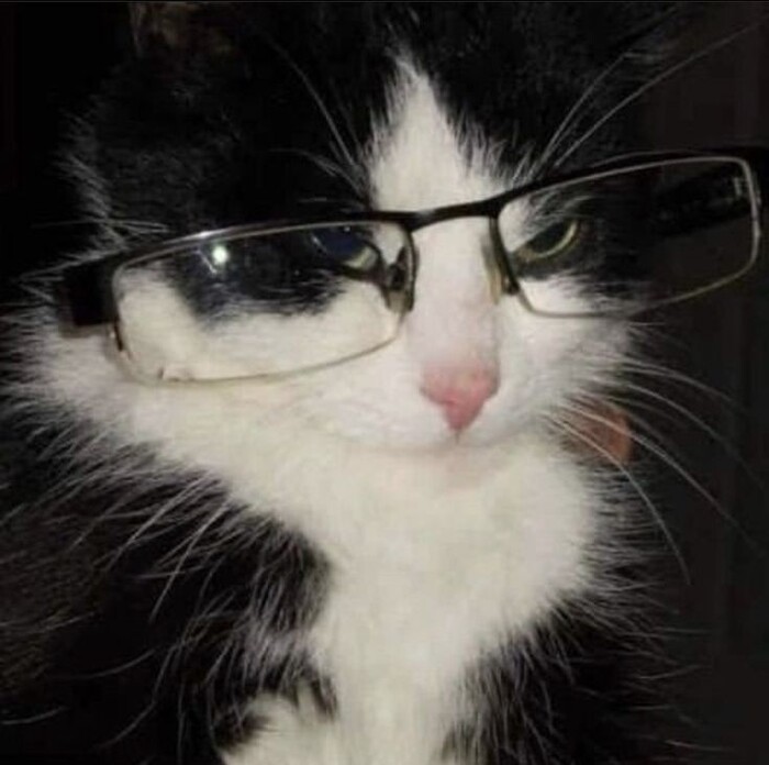 Goodreads profile picture for @senpai