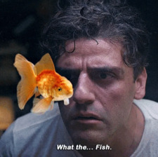illiterfish