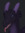 Zorrel