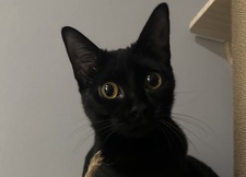 Jane