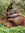 OGBaNaN...