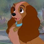 ೃ࿔*:･☾ antoinette ⋆.❀*ੈ✩‧₊˚