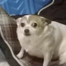 MP